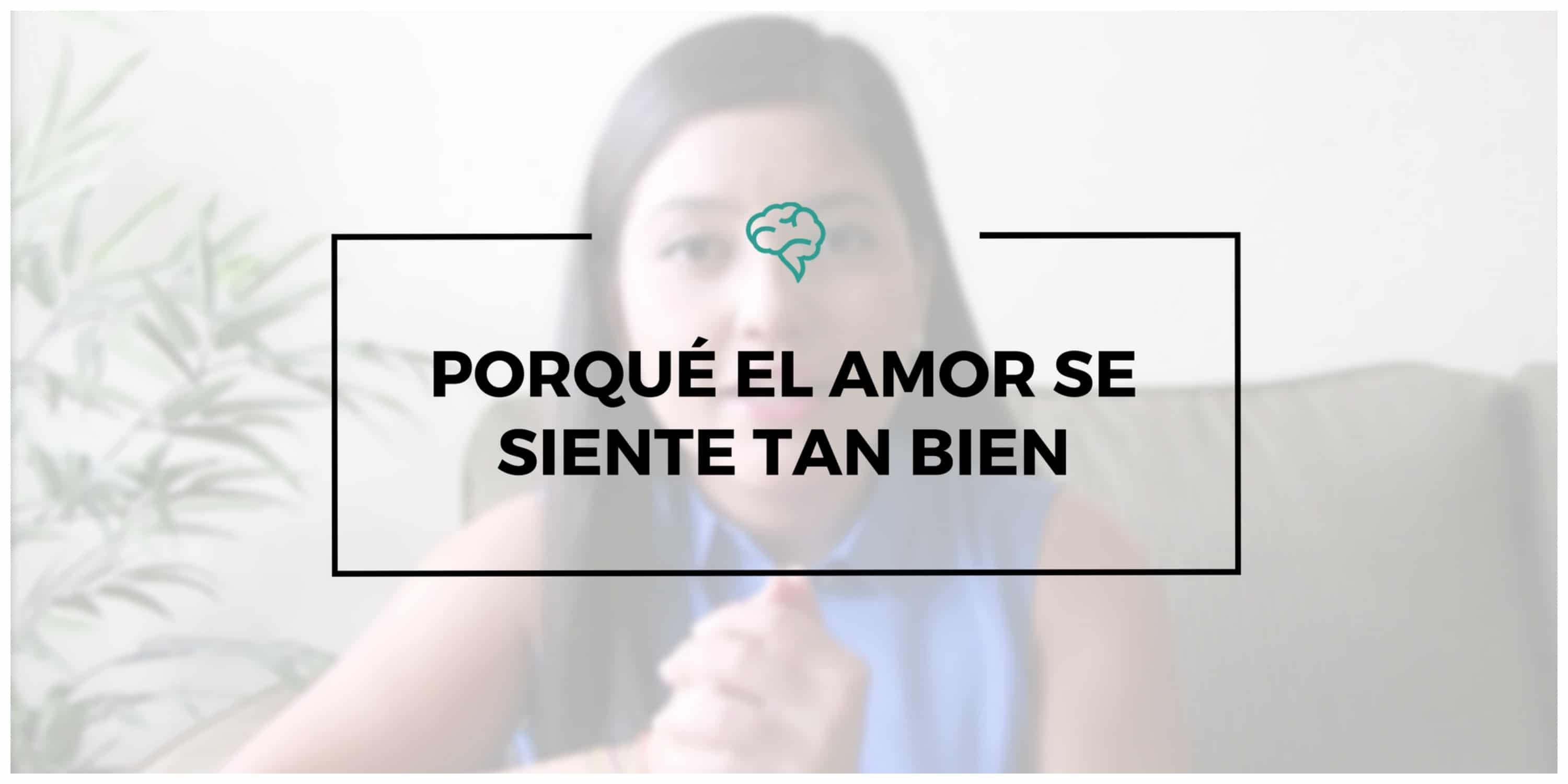 Porqué el amor se siente tan bien